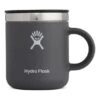 Tazza Thermos Hydro Flask 177 Ml Grigio