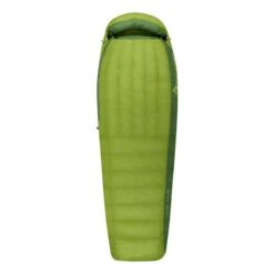 Sacco A Pelo Sea To Summit Ascent AC II 183 Cm Verde